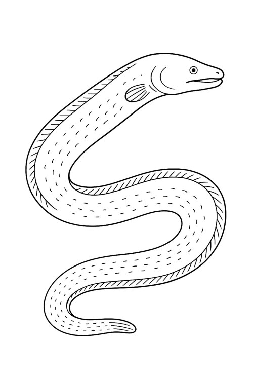 Fish Coloring Pages 045