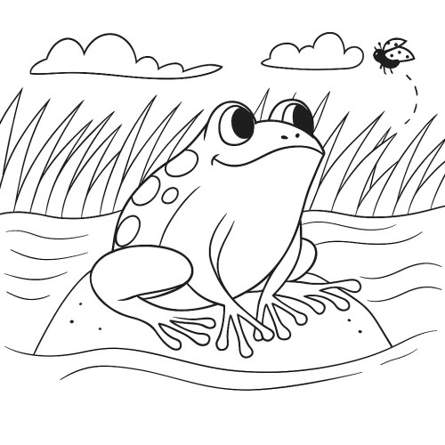Frog Coloring Pages 018