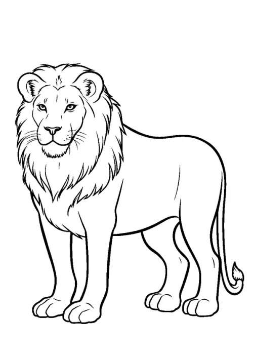 Lions Coloring Pages 009