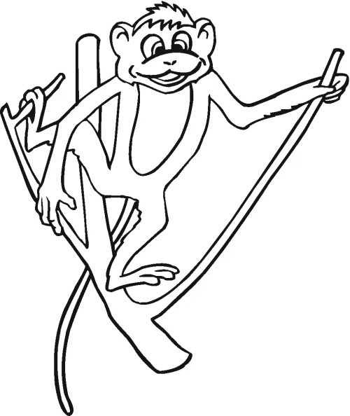 Monkeys Coloring Pages – 019