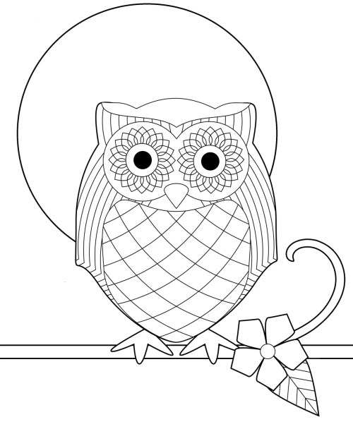 Owls Coloring Pages 002