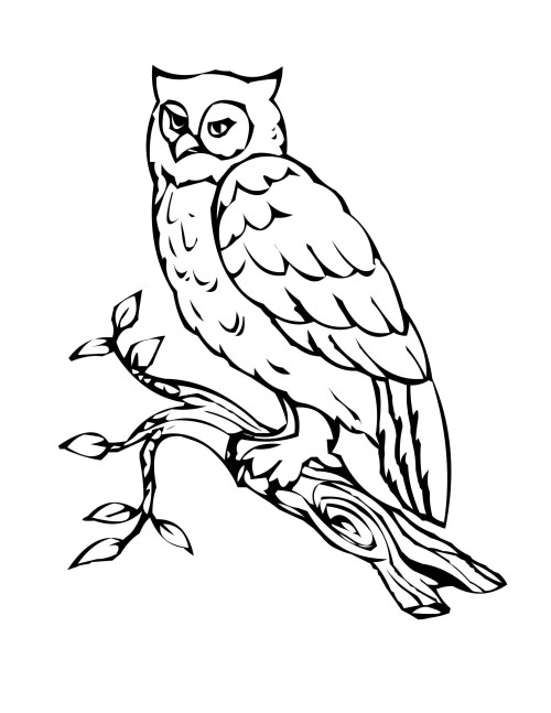 Owls Coloring Pages 021