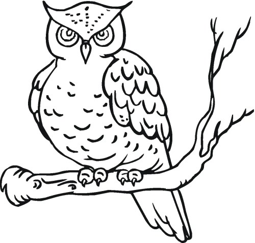 Owls Coloring Pages 032