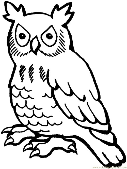 Owls Coloring Pages 033