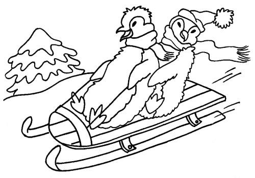 Penguins Coloring Pages 007