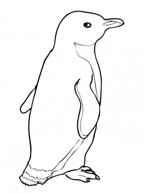 Penguins Coloring Pages 014
