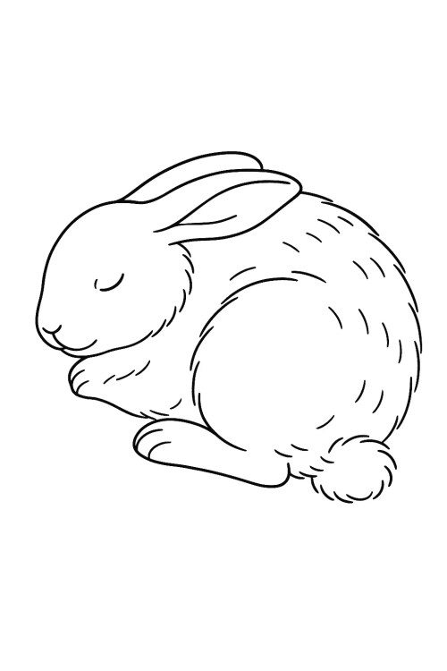 Rabbits Coloring Pages 033