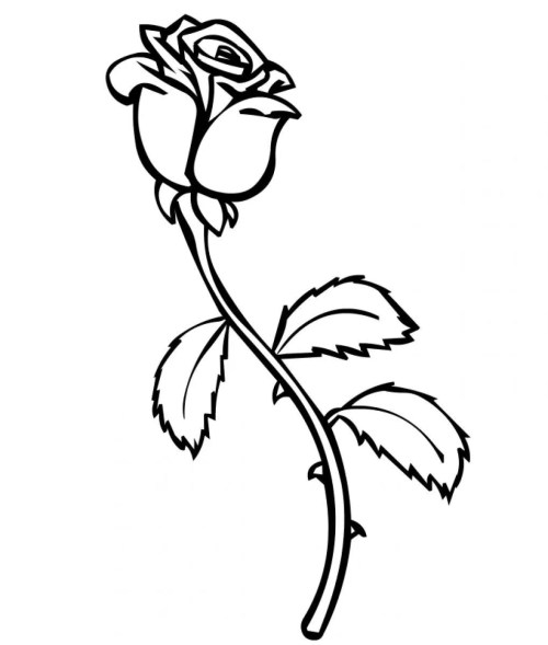 Rose Coloring Pages – 008