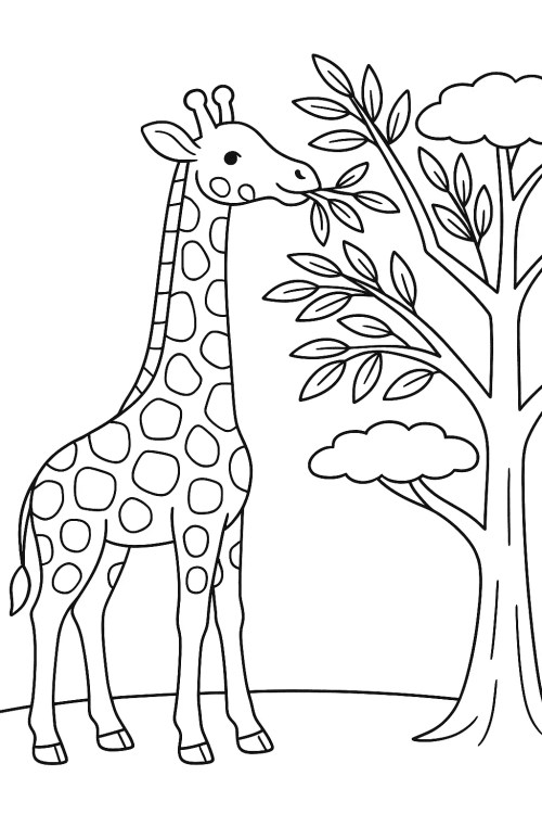 Safari Coloring Pages – 009