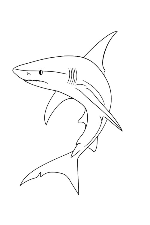Sharks Coloring Pages 032