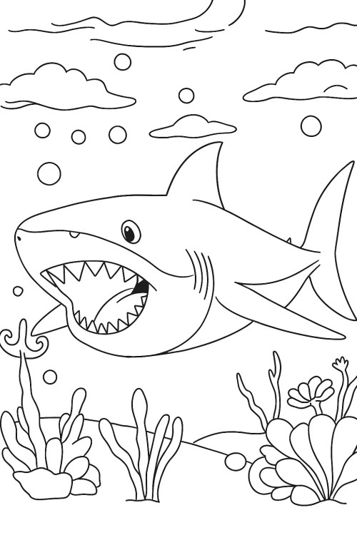 Sharks Coloring Pages 033