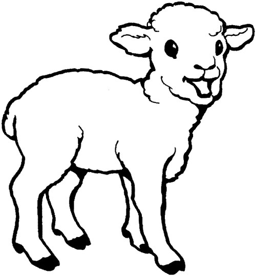 Sheep Coloring Pages – 002
