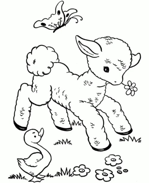 Sheep Coloring Pages – 004