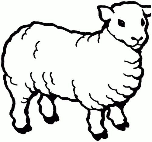 Sheep Coloring Pages – 016