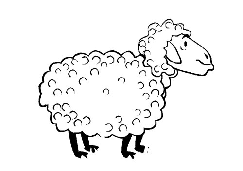 Sheep Coloring Pages – 017