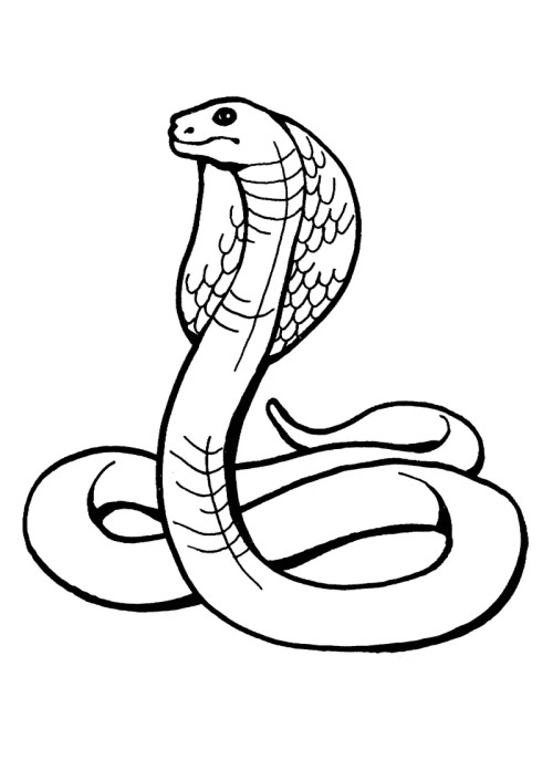 Snakes Coloring Pages 006