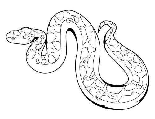 Snakes Coloring Pages 007