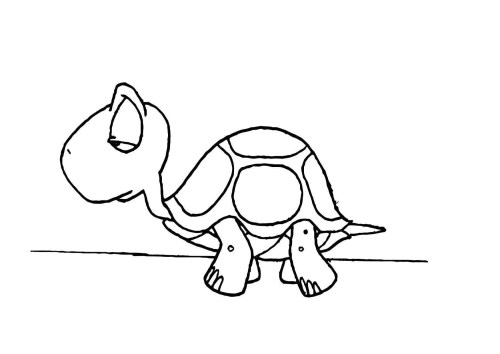 Turtles Coloring Pages 002