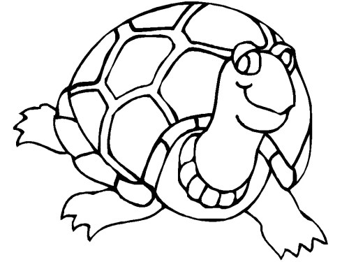 Turtles Coloring Pages 003