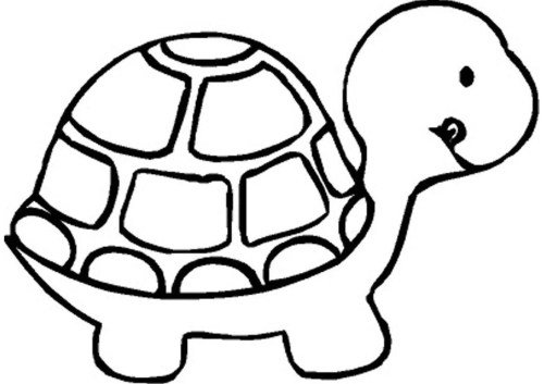 Turtles Coloring Pages 008