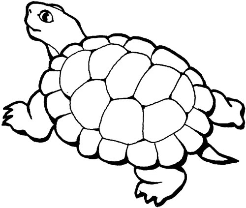 Turtles Coloring Pages 011