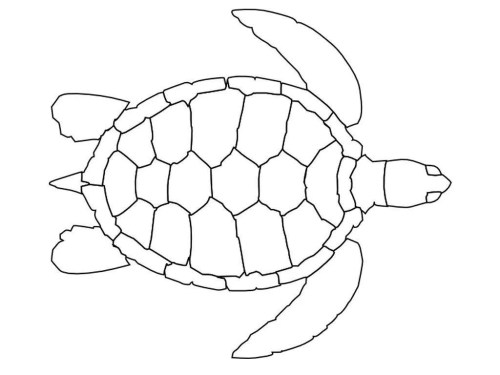Turtles Coloring Pages 013