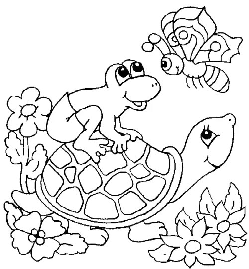 Turtles Coloring Pages 014