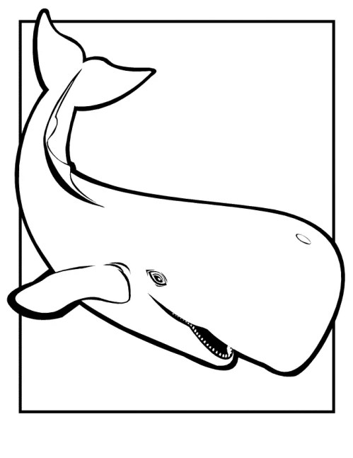 Whales Coloring Pages 007