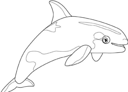 Whales Coloring Pages 009