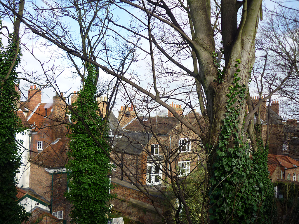 From the walls