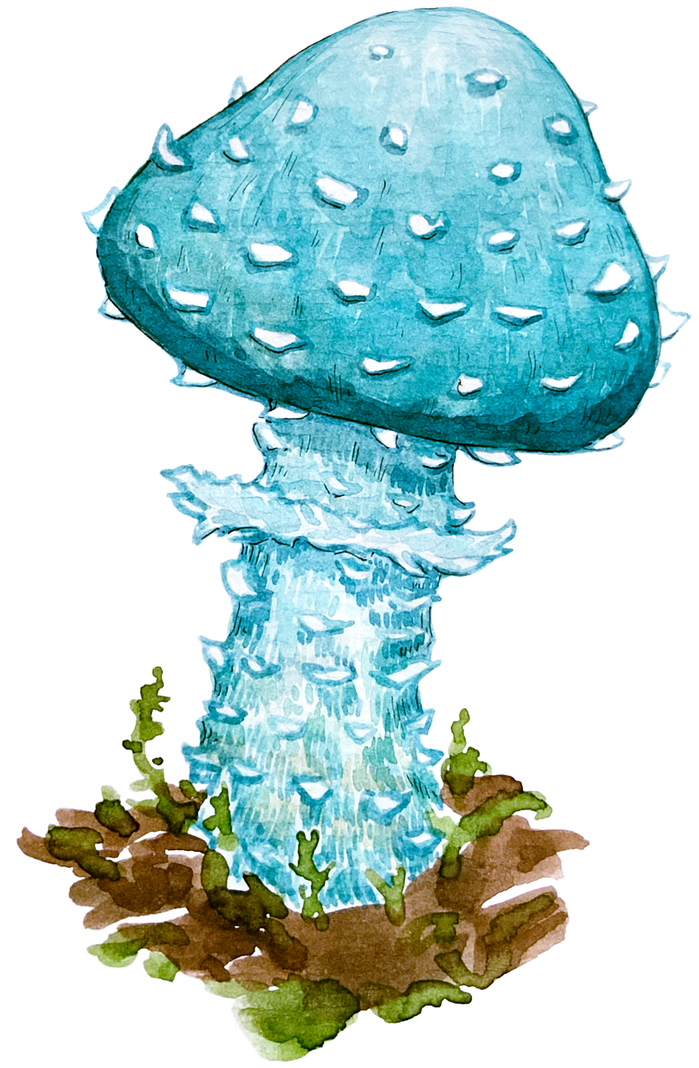 Watercolour illustration of a single mushroom with a rounded cap and slender stem, painted in soft earthy tones with gentle shading.