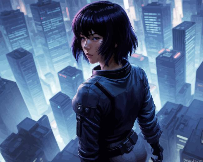 Ghost In Shell Paint By Number Kit