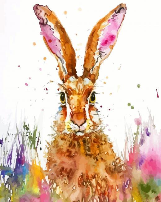 Splatte Rabbit Animal Painting By Numbers.jpeg
