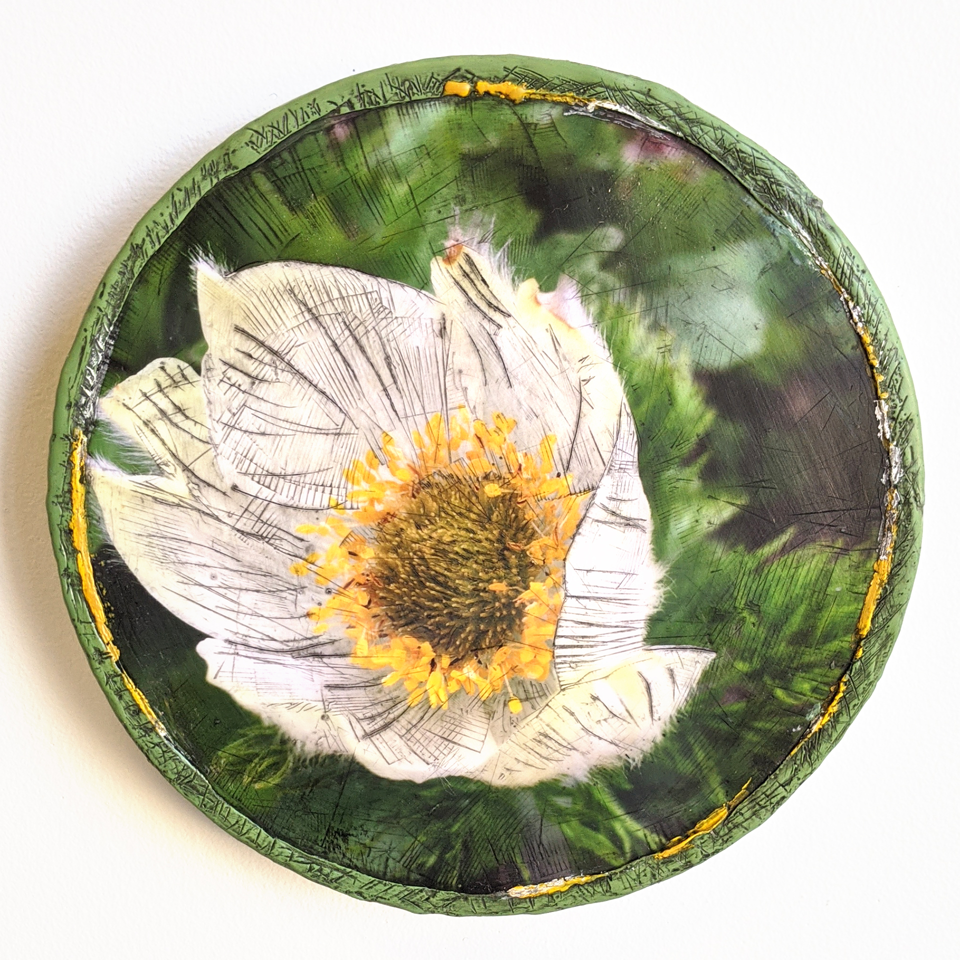 Tara McDermott | Pasque in bloom