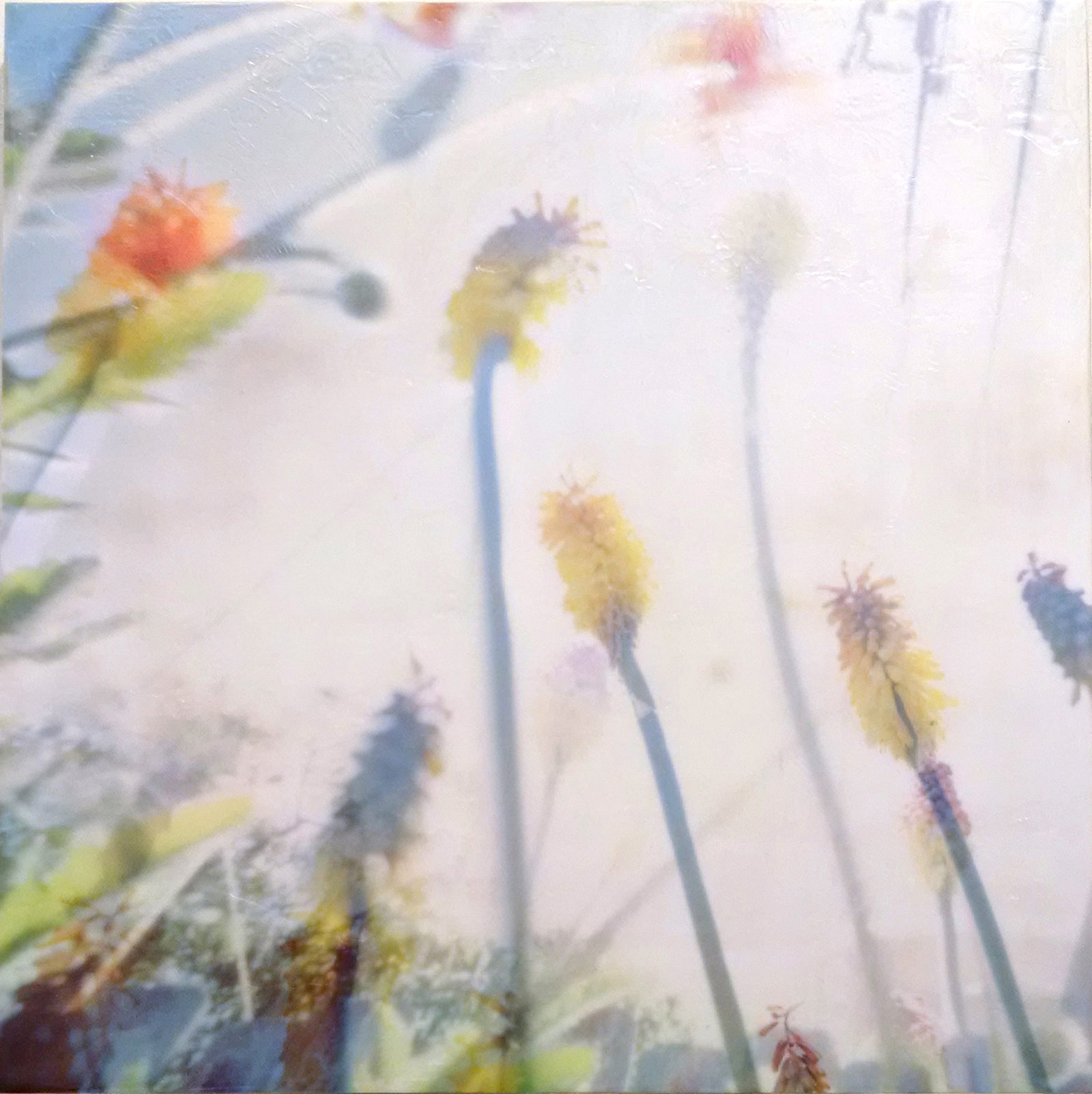 28. Tara McDermott | In Step | Photo & Encaustic | 20x20 | Min bid $300