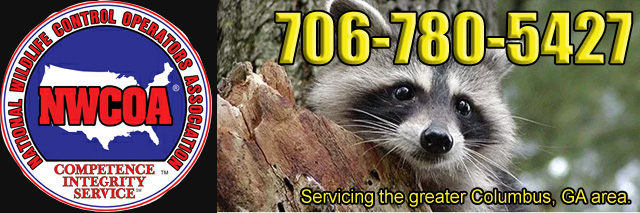 Columbus ga animal control