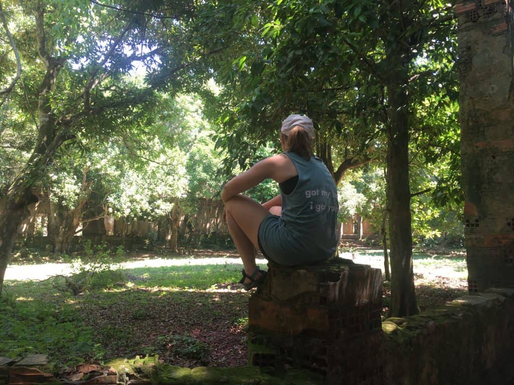 Todd-1 Making Sense of the Jungle