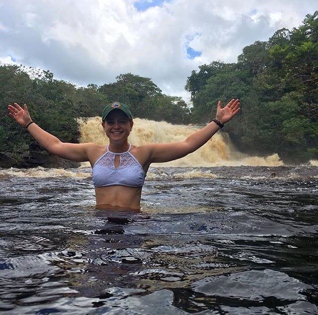 Todd-3 Making Sense of the Jungle