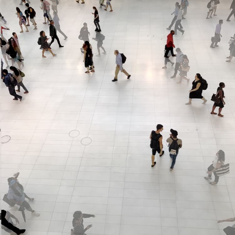 IMG_2001 The Art of Movement