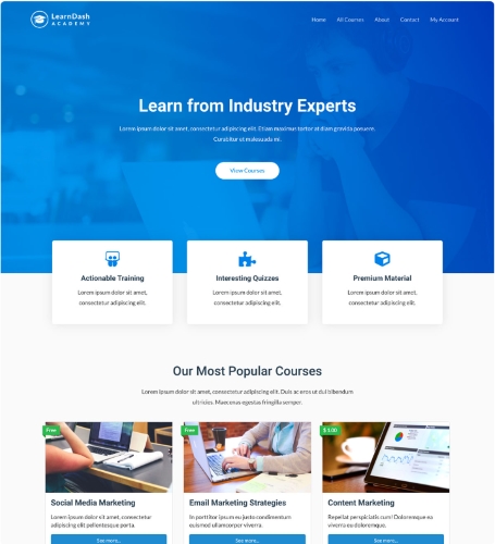 LearnDash Academy