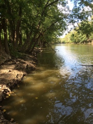 September 18th 2014: Serenity