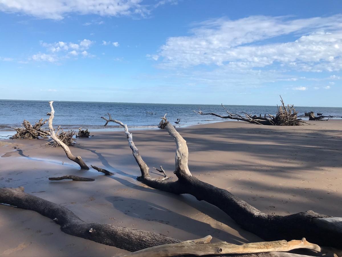 Big Talbot Island State Park offers a variety of outdoor activities.