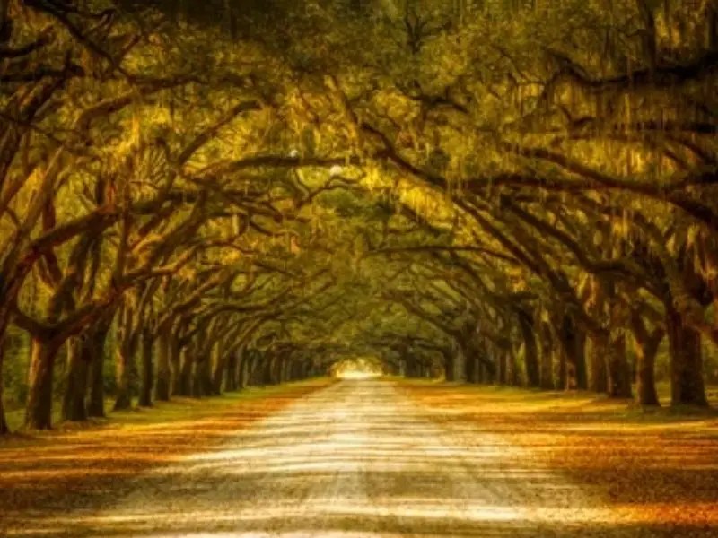 Savannah Georgia - Autumn