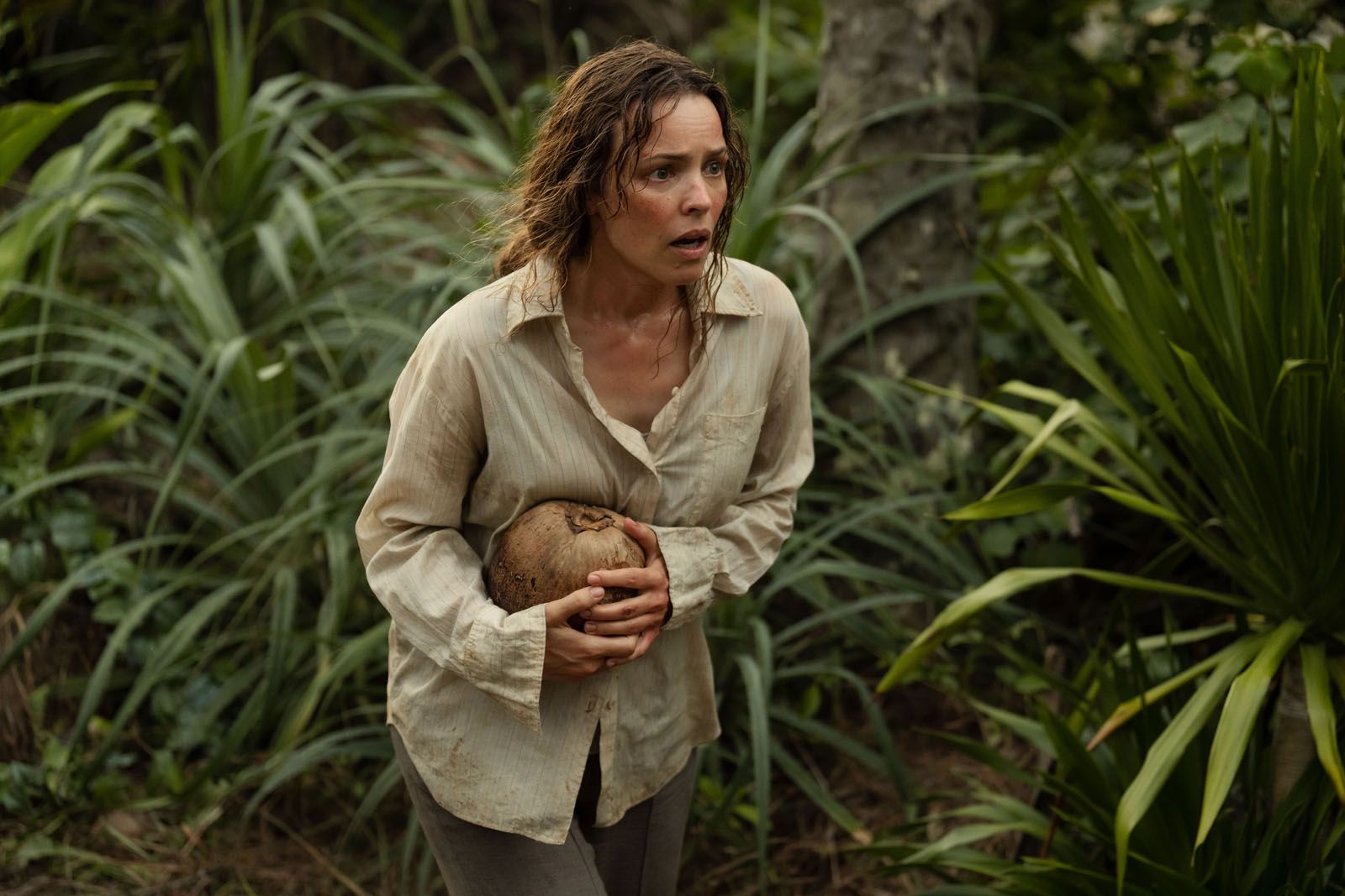 Send Help, Sam Raimi est de retour et pour notre plus grand bien !