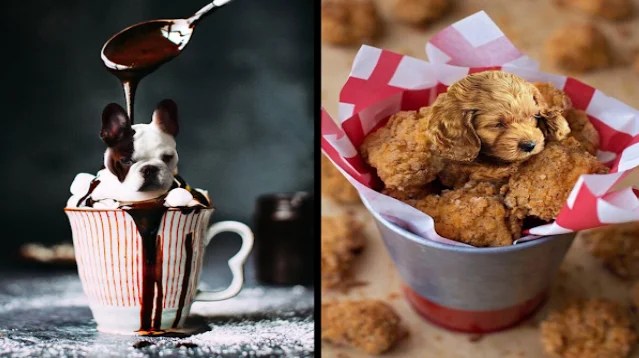 It’s hilarious that someone Photoshopped dog faces into foods