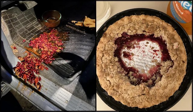15 times people tried to unsee unpleasant things but were unsuccessful