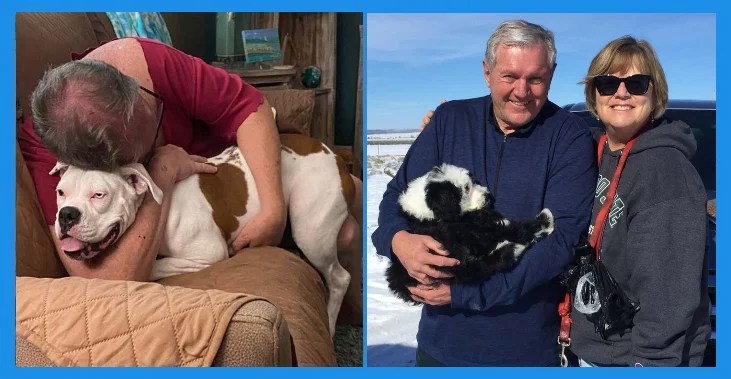 15 People Who Previously Loved Dogs But Now Hated Them