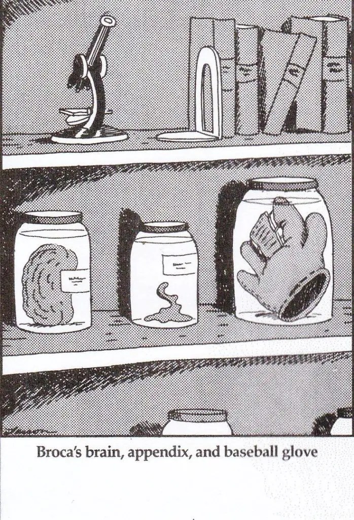 These 19 Greatest Far Side Cartoons Will Break Your Heart - image 14