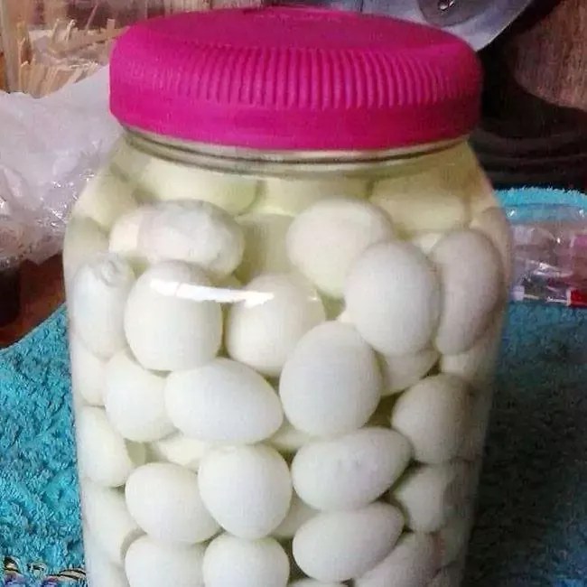 Como fazer Conserva de Ovo de Codorna perfeita para impressionar no Natal!