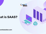What Is Saas Explained